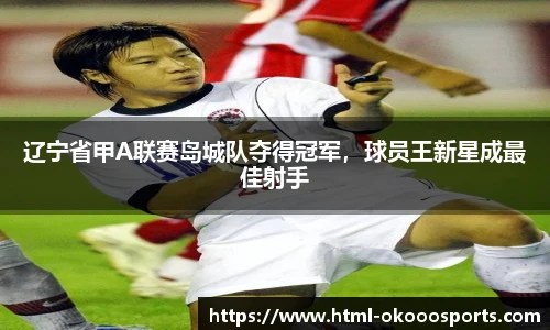 辽宁省甲A联赛岛城队夺得冠军，球员王新星成最佳射手